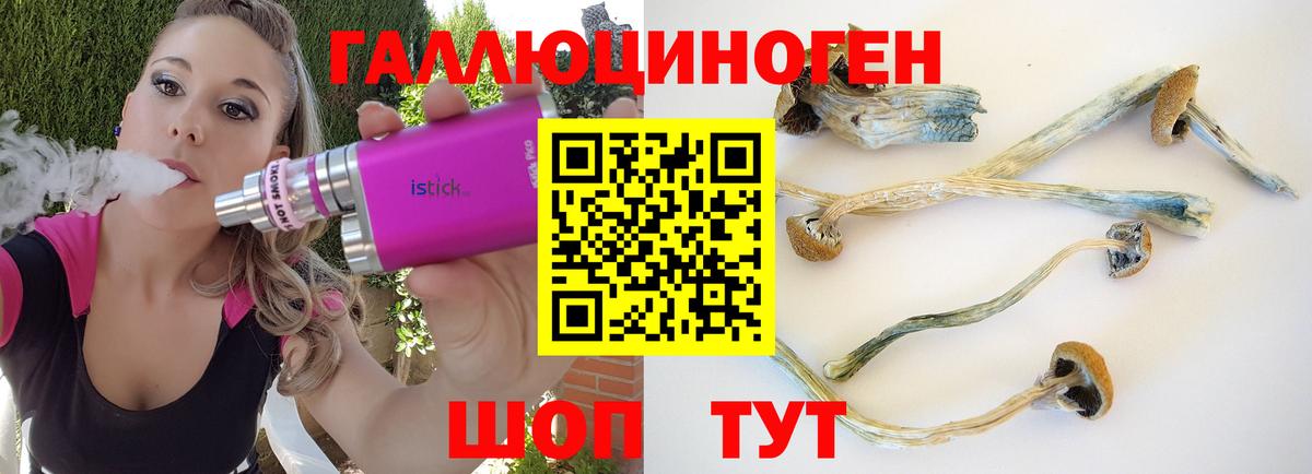 Псилоцибиновые грибы прущие грибы  Галлюциногенные грибы Cubensis  Вход с VPN  Железногорск 